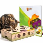 Puzzle feeder cats 