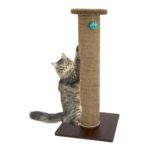 must have cat accessories scratching post