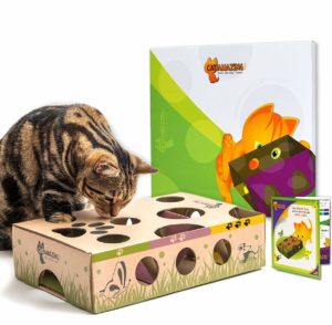 Interactive Treat maze cat Toys 