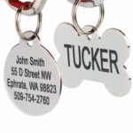 cat accessories pet tags