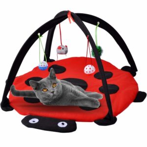 cat tent for self-entertainment