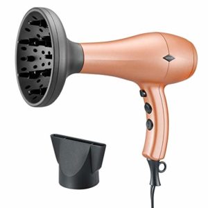 Nition blow dryer recommended by professionals