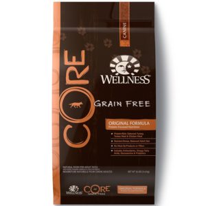 Best tasting dry dog food Wellness Core Natural Grain Free 