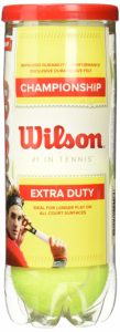 Tennis Ball Wilson Championship Extra Duty 